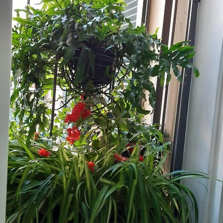 City Break House Салерно Екстериор снимка